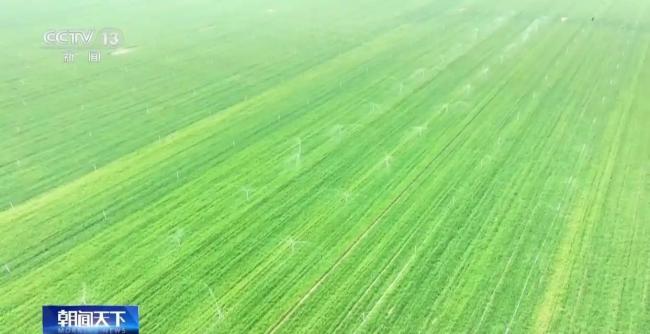 春灌用上黑科技 全国超亿亩农田高效解渴 精准灌溉促增产