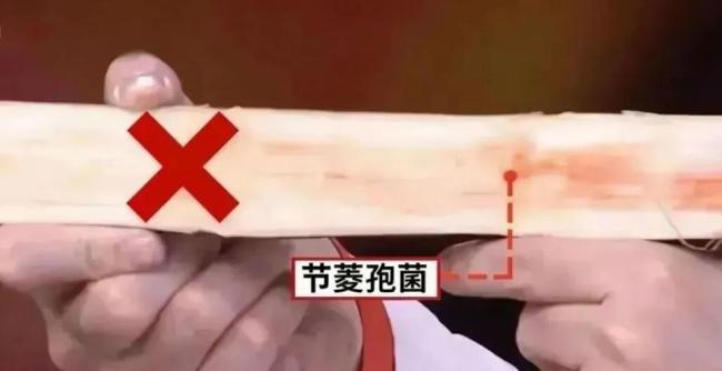 清明蔗毒过蛇？专家提醒 慎食霉变甘蔗
