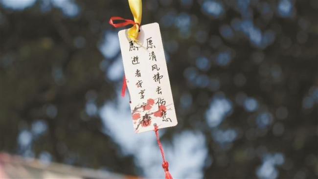 “00后”守墓人为逝者摆上玩偶抱枕 温柔送别抚慰人心