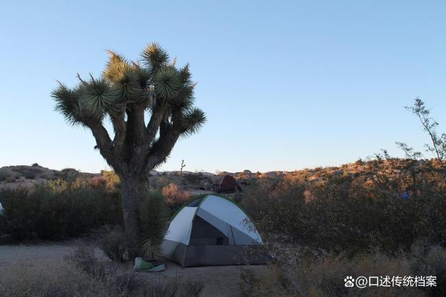 高一学生选科应该注意什么 科学规划避免误区