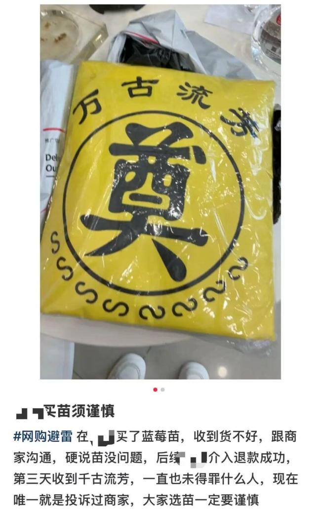 网购蓝莓苗仅退款后收到殡葬用品