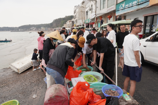 涠洲岛20余艘观鲸船围堵鲸鱼 人类追逐与围观的反思