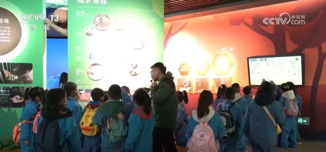 多地推出春假惠民“大礼包”解锁春日新体验