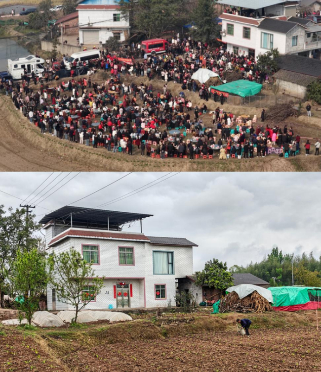 “按猪摇人”走红,重庆女孩“呆呆”:不想带货赚钱