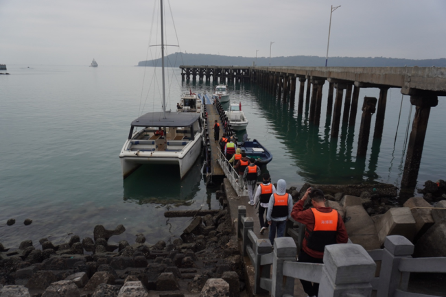 涠洲岛20余艘观鲸船围堵鲸鱼 人类追逐与围观的反思