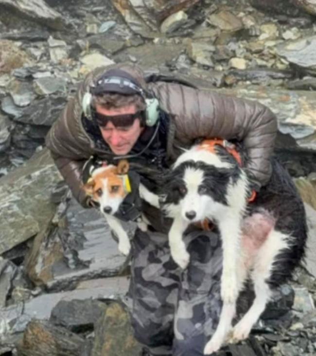 女子坠崖爱犬独守原地整整7天 忠诚狗狗终获救