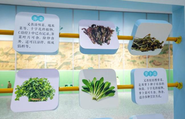 清明节俗知多少?走进传统与现代的交融