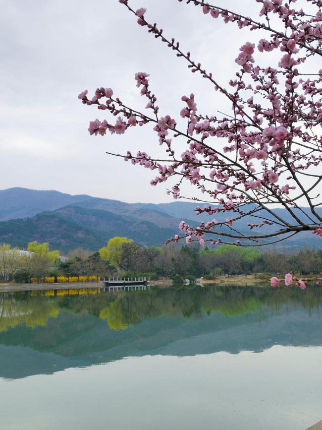 今天北京真好看