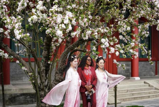 宋庆龄故居西府海棠盛放