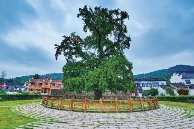 河南娃的思政课从一支娃娃军讲起 青春热血铸就长征魂