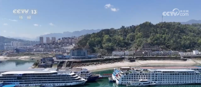 黃金水道揚綠帆 見證航運新畫卷