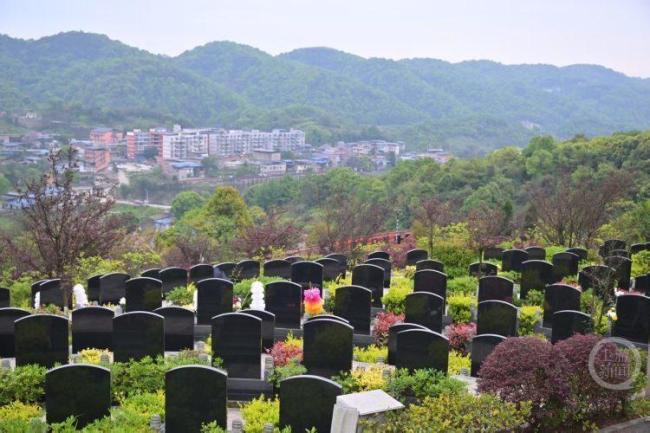 重庆迎清明祭扫首个高峰日