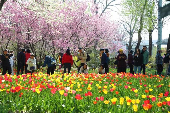 假期首日北京市属公园纳客超58万人次