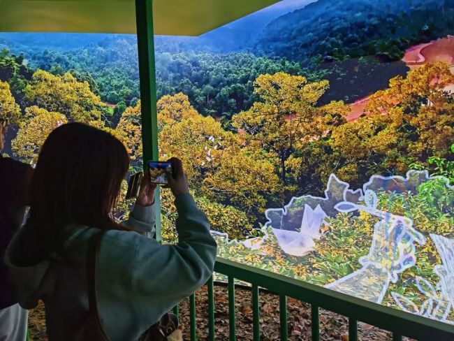 “加长版”春季假期“点燃”春日经济