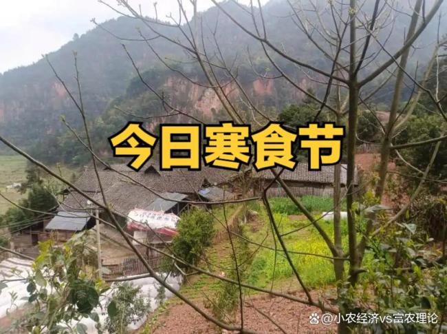 今日寒食节 老传统要记得