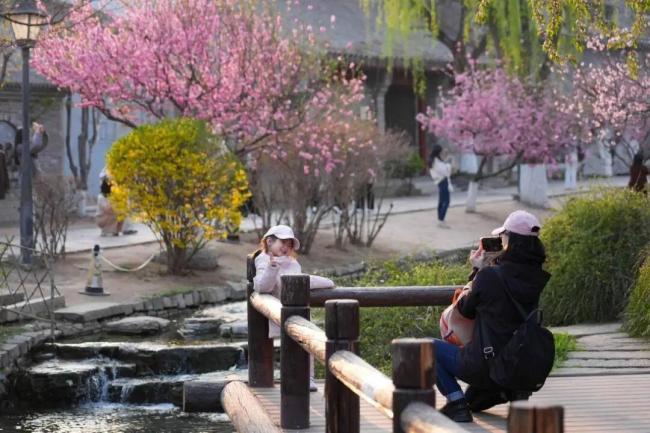 北京有条春天的河 花开映河岸