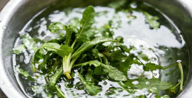 清明食品安全“四要四不要”