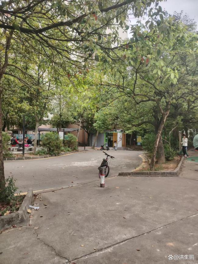 为什么人到中年要坚持运动