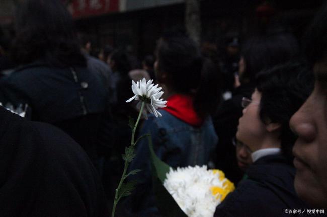 敬一丹谈清明:藏在节气里的生命智慧 悲喜交融的生活哲学