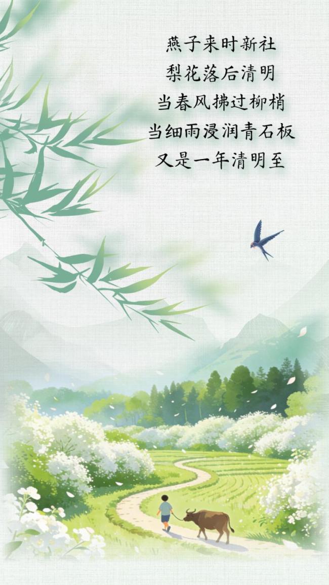 清明最好的仪式感是不曾忘记