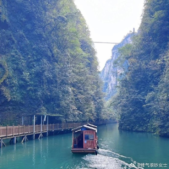 解说称孙颖莎球商太厉害了 战术预判与执行力