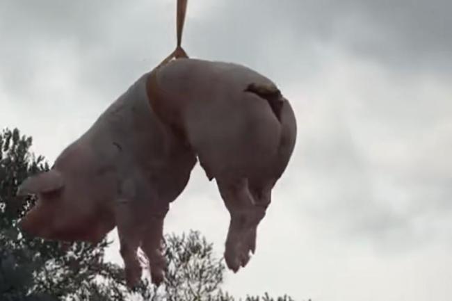 媒体:祭祖可以轻松但不能“过了头”