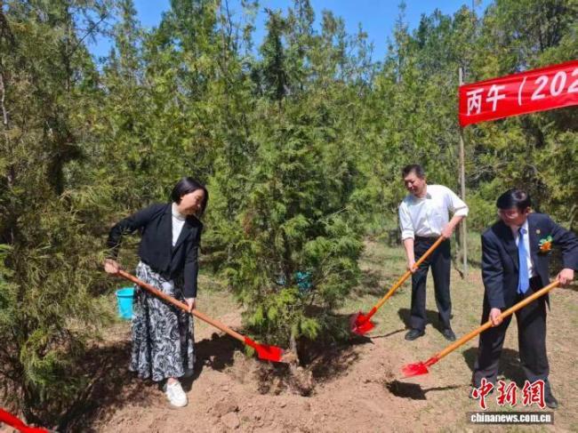 海外侨胞黄帝陵寻根传脉