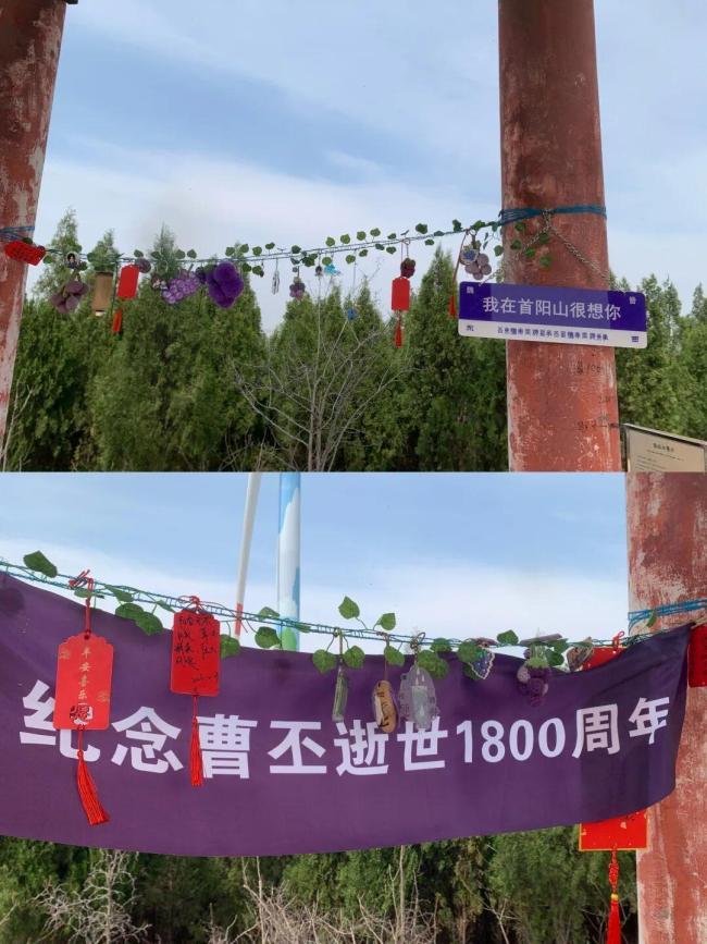 为什么年轻人迷上给古人扫墓 一场跨越时空的会面