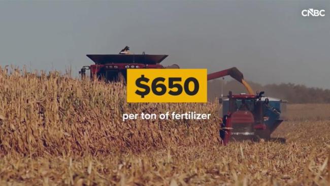 对伊朗战事会如何影响美中期选举 共和党面临沉重负担