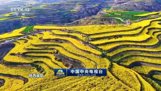 春天里的中國丨繁花遍野 山河皆入春