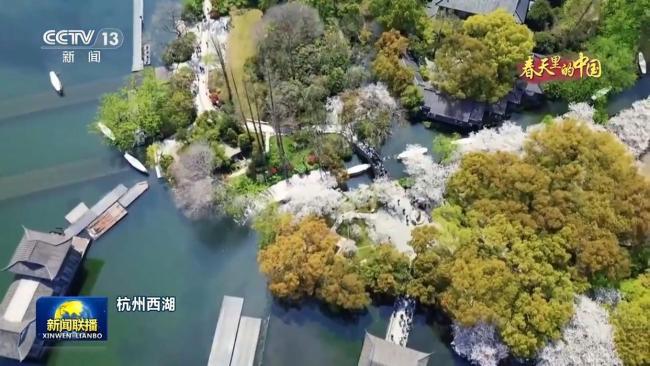 春天里的中国丨繁花遍野 山河皆入春