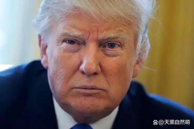 懂王消失72小时