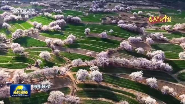 春天里的中国丨繁花遍野 山河皆入春