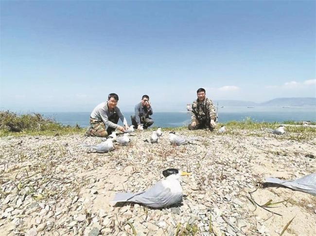 珍稀动物为何爱上福建 绿色生态撑起保护伞