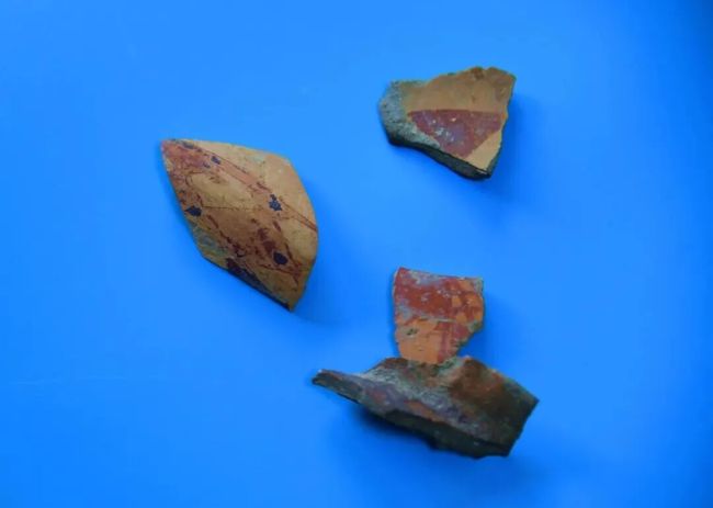 山西阳泉发现仰韶文化遗址热 填补区域文化空白