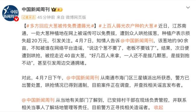 大葱被传免费拔 种植户损失超20万 谣言引发哄抢潮