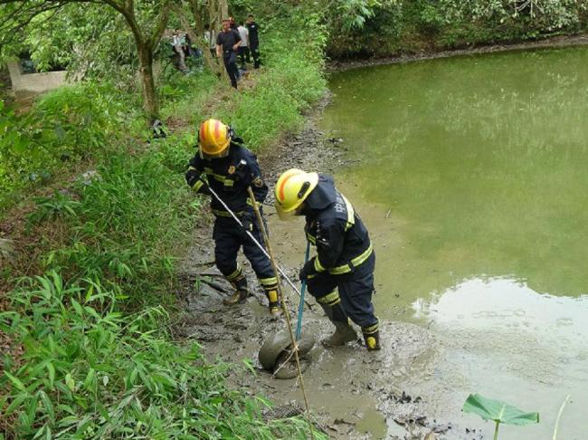40斤大蟒蛇潜入鱼塘 消防迅速抓捕 蛇类活动频繁需警惕