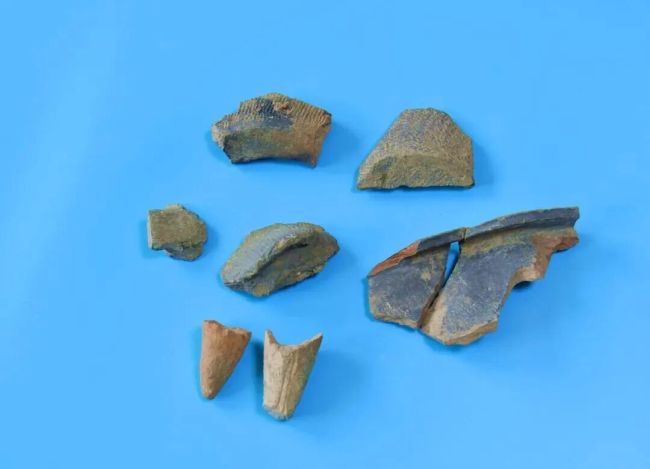 山西阳泉发现仰韶文化遗址热 填补区域文化空白