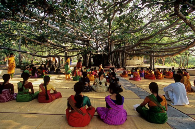 印度经济能否跳出“榕树陷阱”？