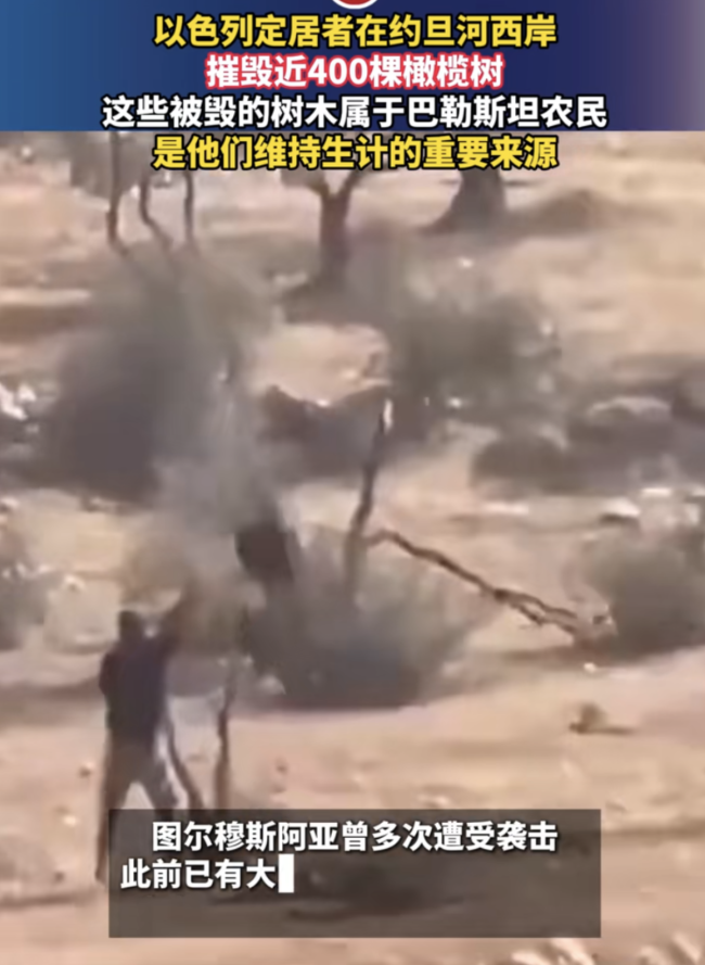 以色列定居者摧毁巴勒斯坦农民生计树木！