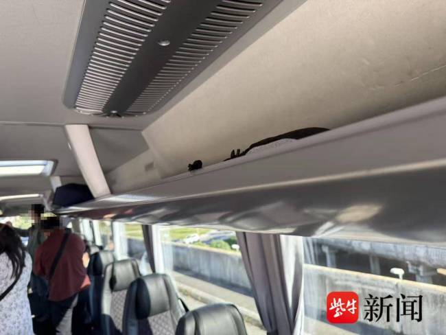 20万行李被偷旅行社称属刑案不赔偿 游客与旅行社各执一词