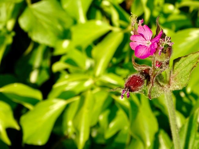 央视曝光上海黑中医馆骗局 医托演戏坑患者