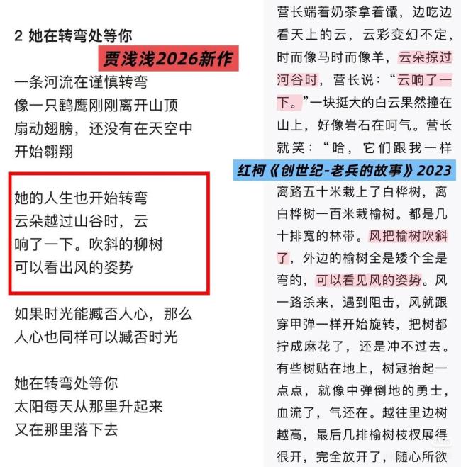 贾淡淡论文被指抄袭高校看望 零容忍气派开动看望