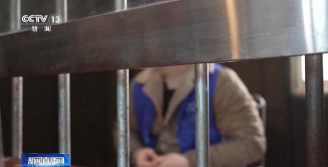 缅甸骗婚女子反复收割未婚男人 跨境玄色产业链被揭露