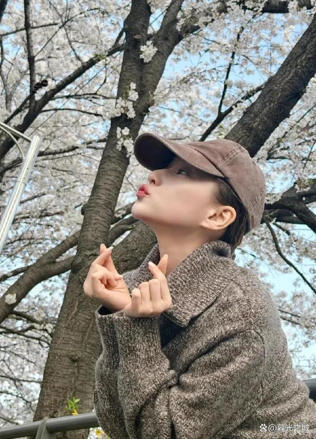 何超莲樱花照 窦骁视角