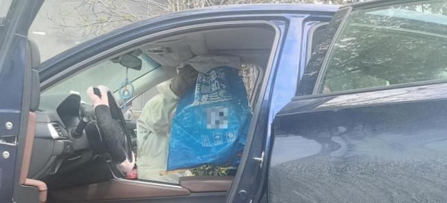 男子忘关车窗15分钟 回来时傻眼 车内惊现蜂巢