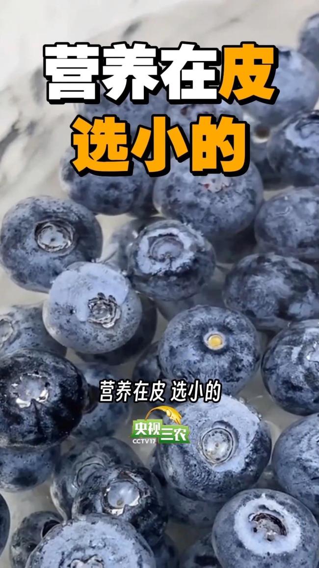 常见水果挑大还是选小