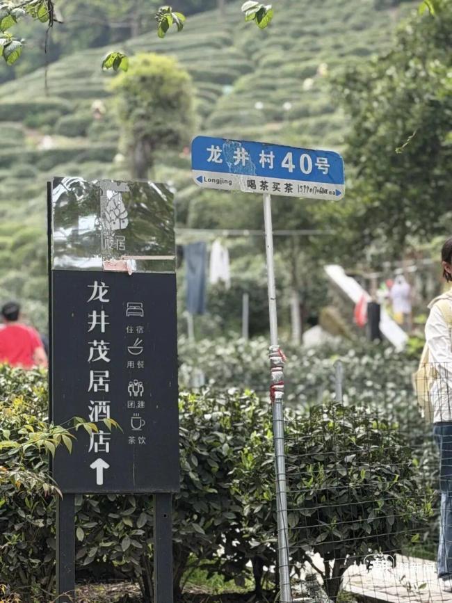 酒店店长回应被周杰伦打卡后爆火