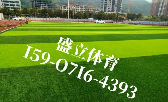 大连梭鱼湾足球场绿茵换新 场地升级迎新赛季