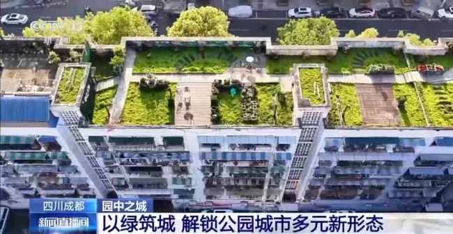以绿筑城！成都解锁公园城市多元新形态
